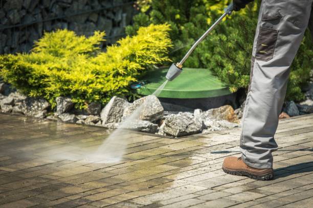 Best Pre-Holiday Cleaning  in Dakota Dunes, SD